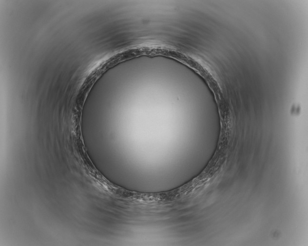 X0000090780823200708101831