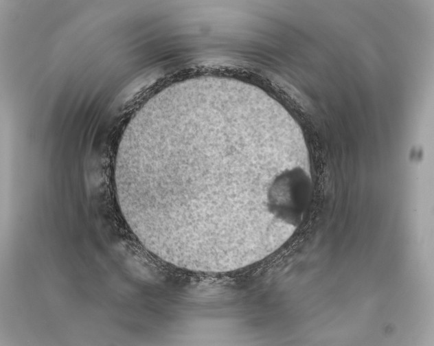 X0000090780824200708101831