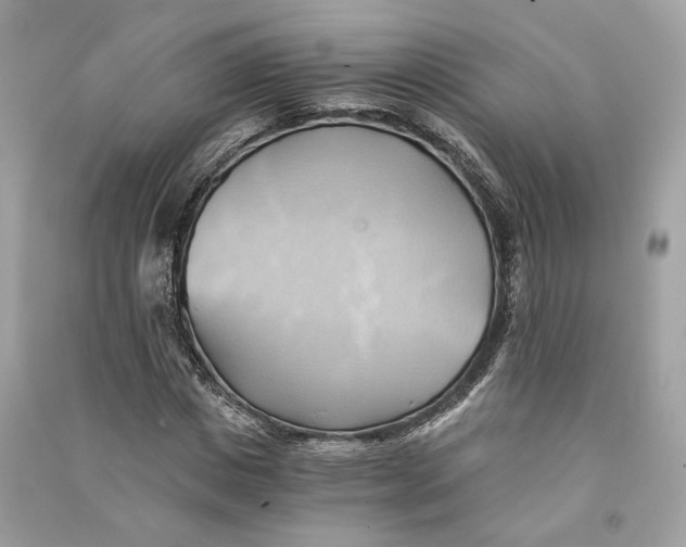 X0000090780825200708101831