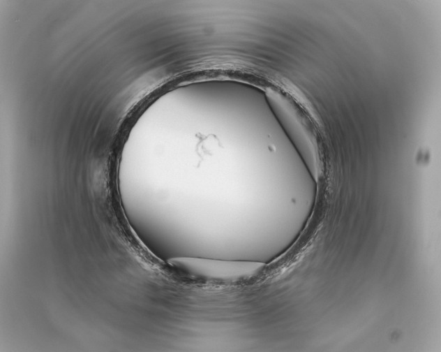 X0000090780826200708101831