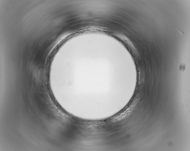 X0000090780828200708101831