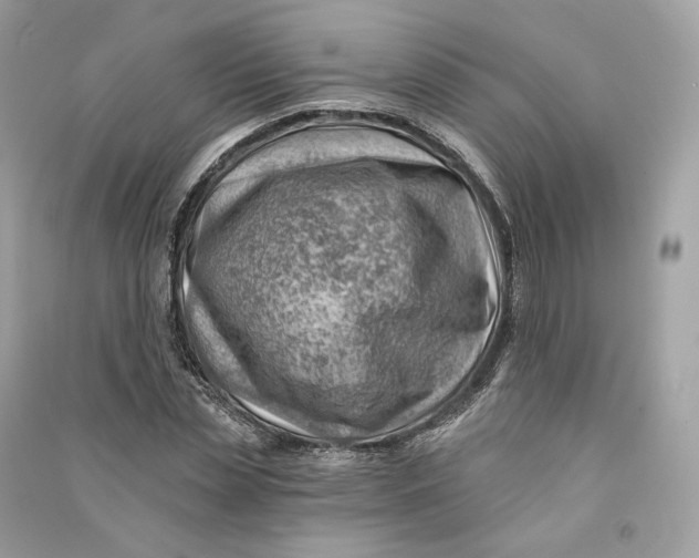 X0000090780829200708101831