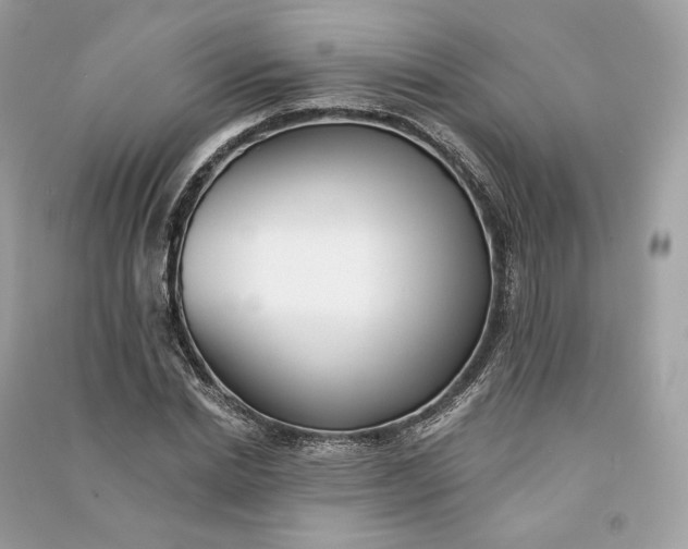 X0000090780830200708101831