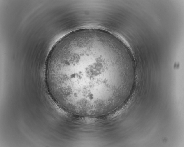 X0000090780831200708101831
