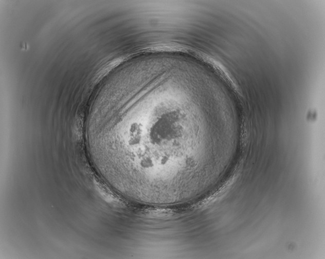X0000090780833200708101831