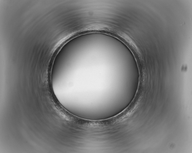 X0000090780834200708101831