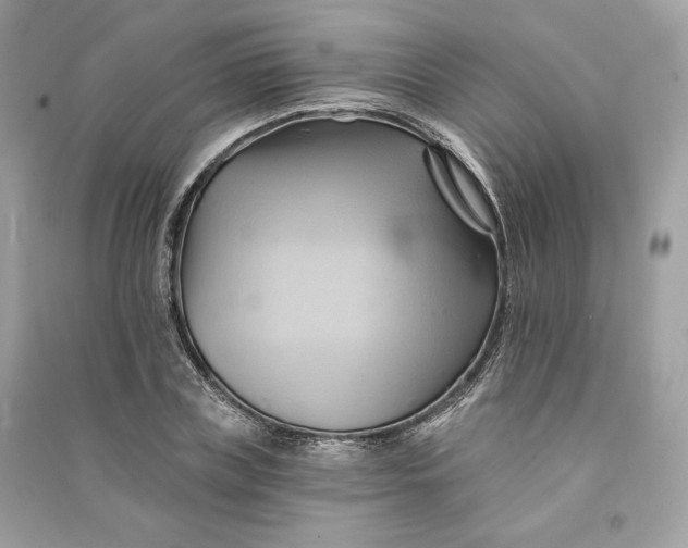 X0000090780835200708101831