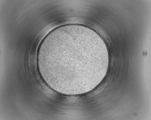 X0000090780836200708101831