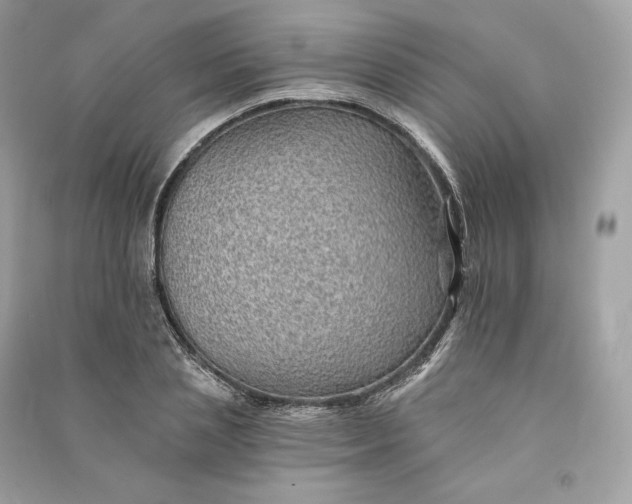 X0000090780837200708101831