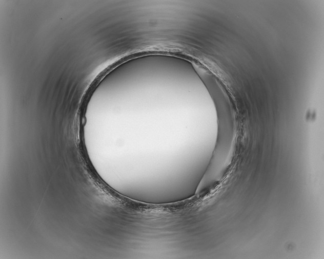 X0000090780838200708101831