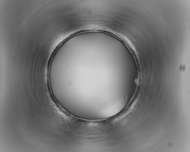 X0000090780839200708101831