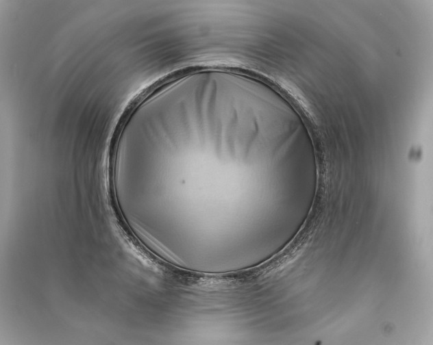 X0000090780840200708101831