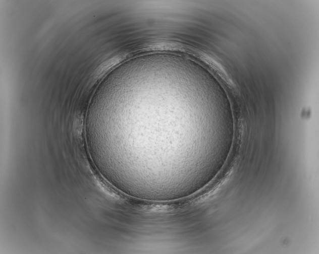 X0000090780841200708101831