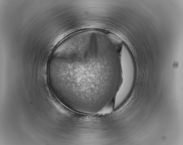 X0000090780842200708101831