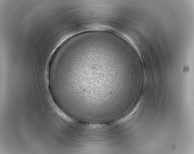 X0000090780843200708101831