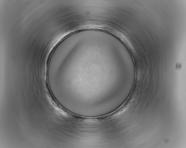 X0000090780844200708101831