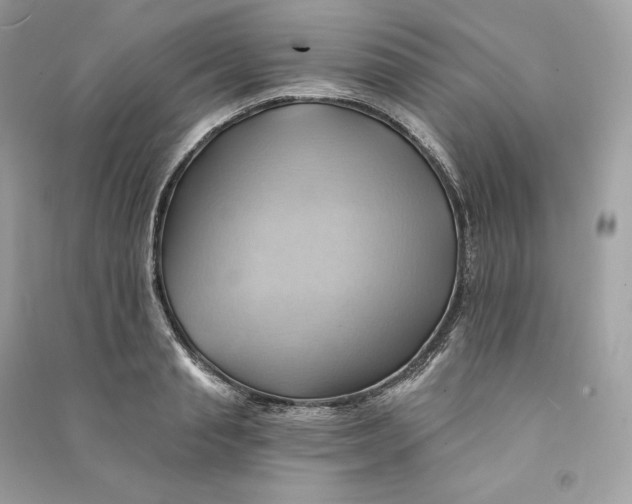 X0000090780845200708101831