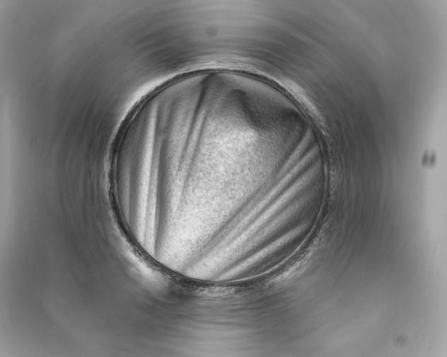 X0000090780846200708101831