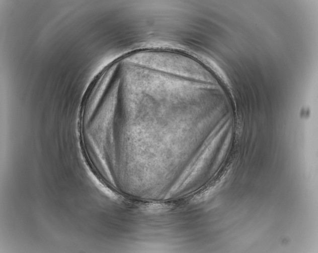 X0000090780847200708101831