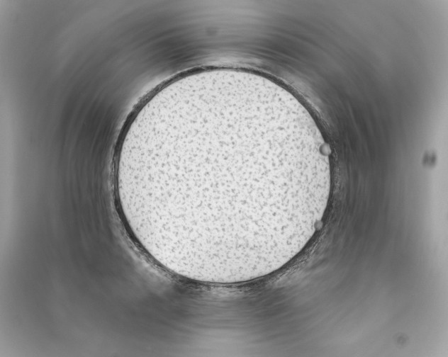 X0000090780848200708101831