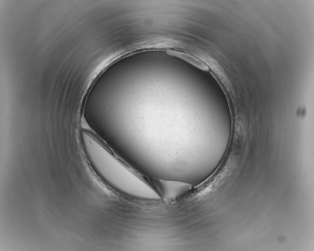 X0000090780850200708101831