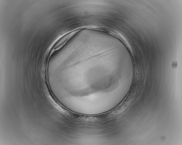 X0000090780851200708101831