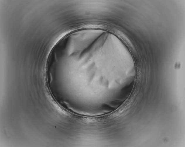 X0000090780852200708101831
