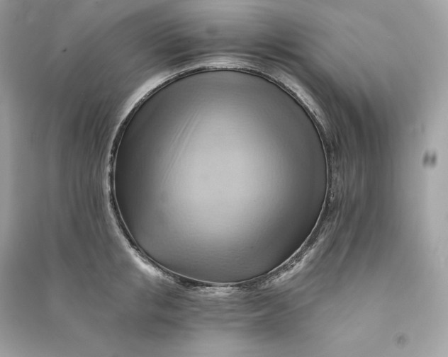 X0000090780853200708101831