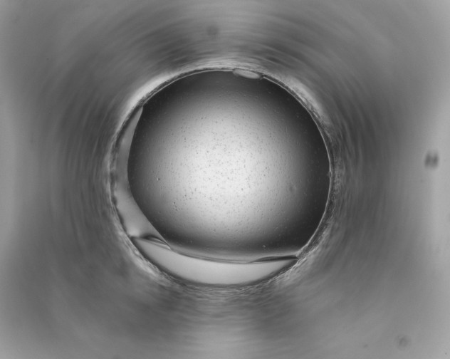 X0000090780854200708101831