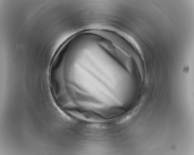 X0000090780855200708101831