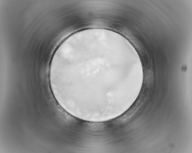 X0000090780856200708101831