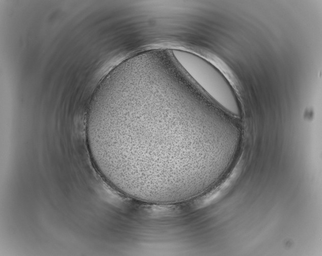 X0000090780857200708101831