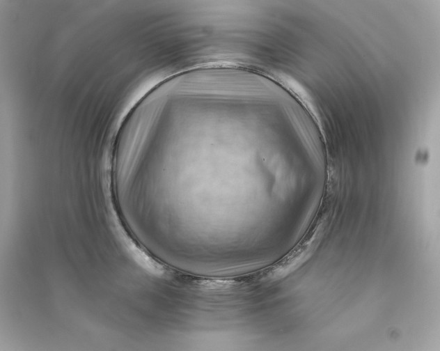 X0000090780859200708101831