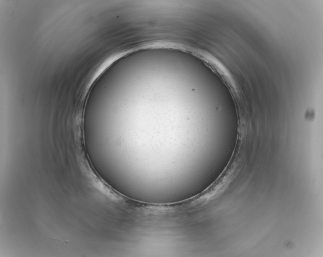 X0000090780860200708101831