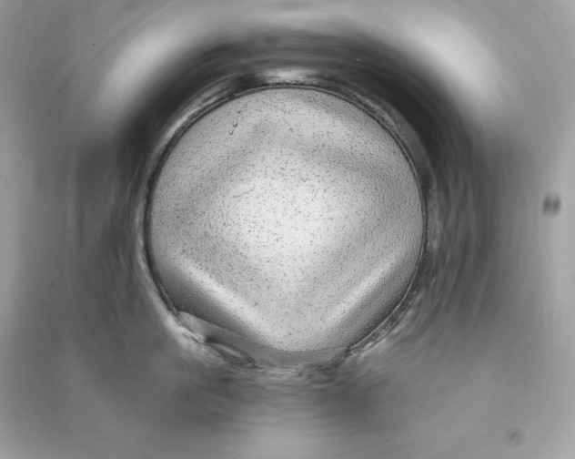 X0000090780861200708101831