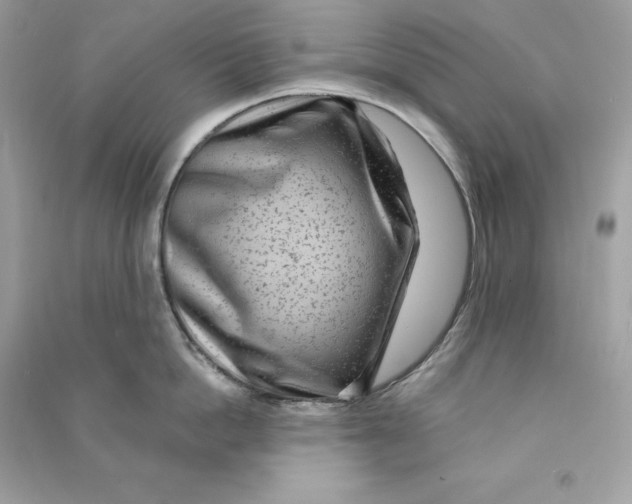 X0000090780862200708101831