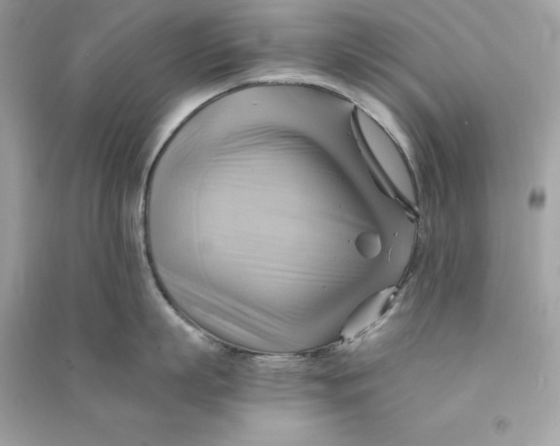 X0000090780863200708101831