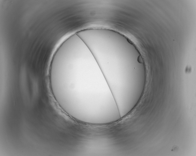 X0000090780864200708101831