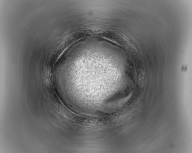 X0000090780866200708101830