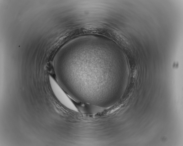 X0000090780868200708101830