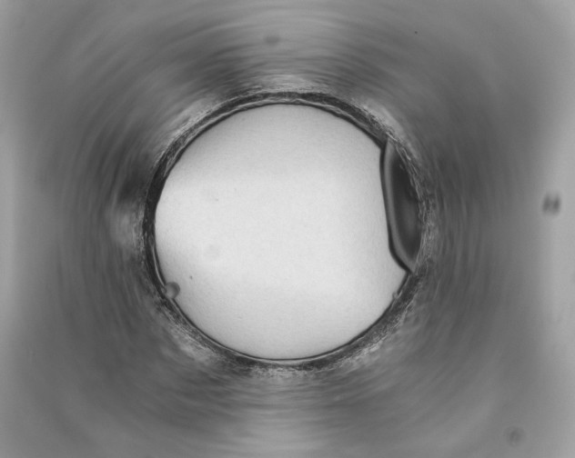 X0000090780873200708101830