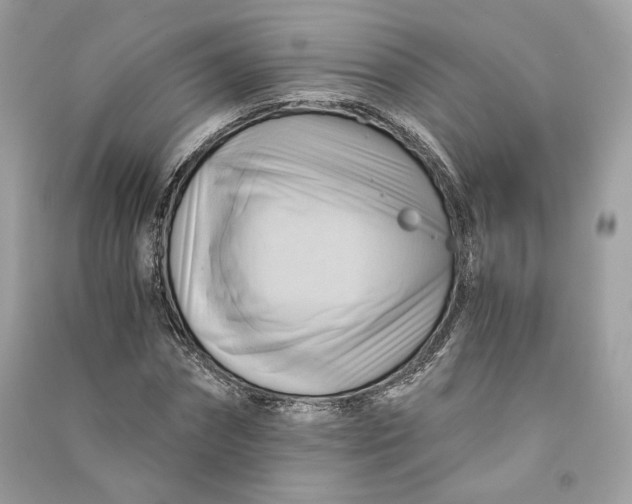 X0000090780874200708101830