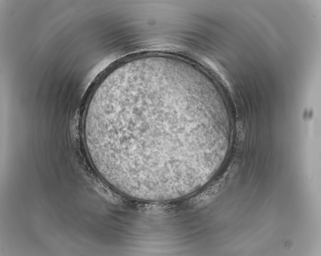 X0000090780875200708101830