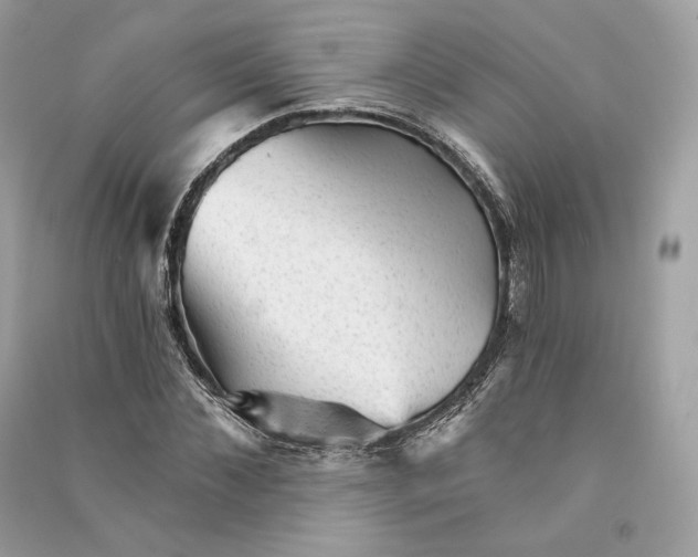 X0000090780876200708101830