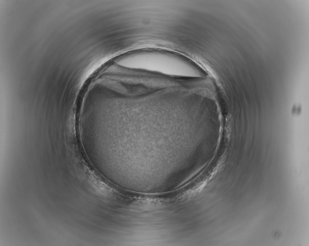 X0000090780877200708101830