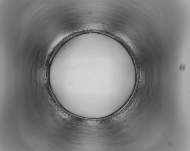 X0000090780878200708101830