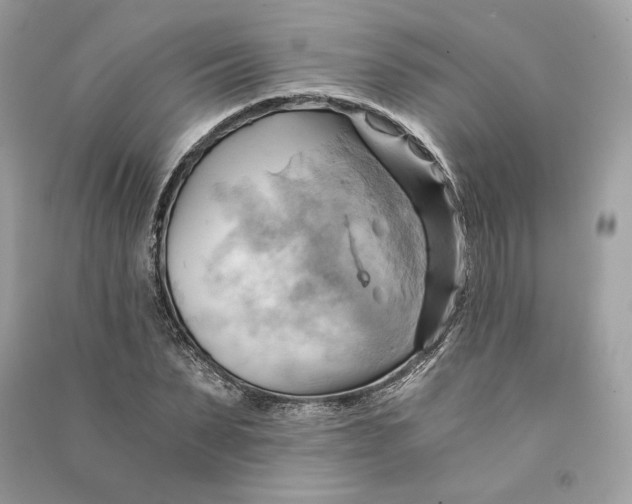 X0000090780879200708101830