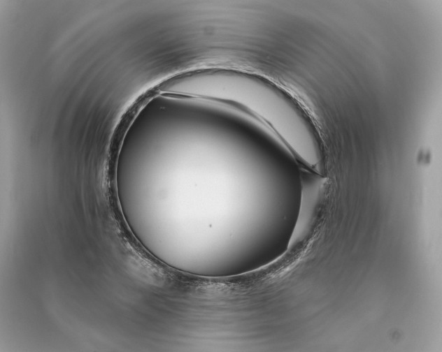 X0000090780880200708101830