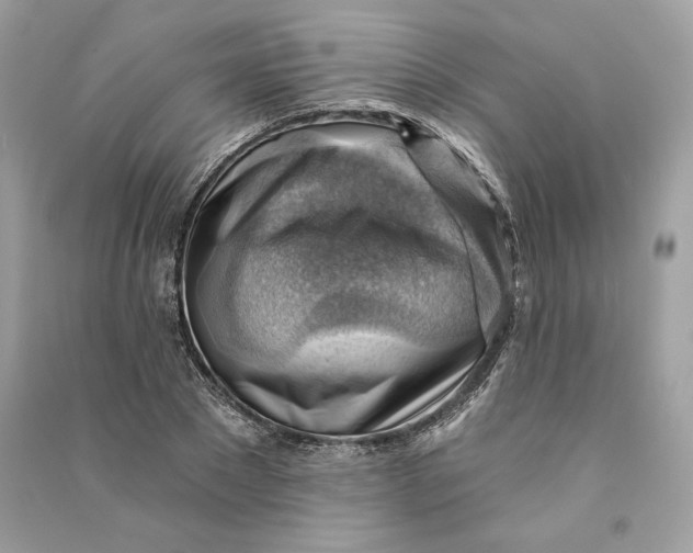 X0000090780881200708101830