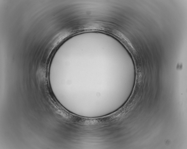 X0000090780882200708101830
